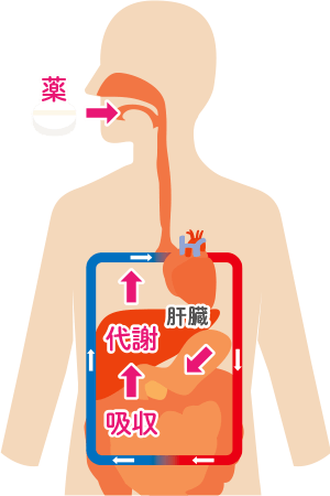 経口剤・経皮吸収型製剤（貼付剤、塗布剤）